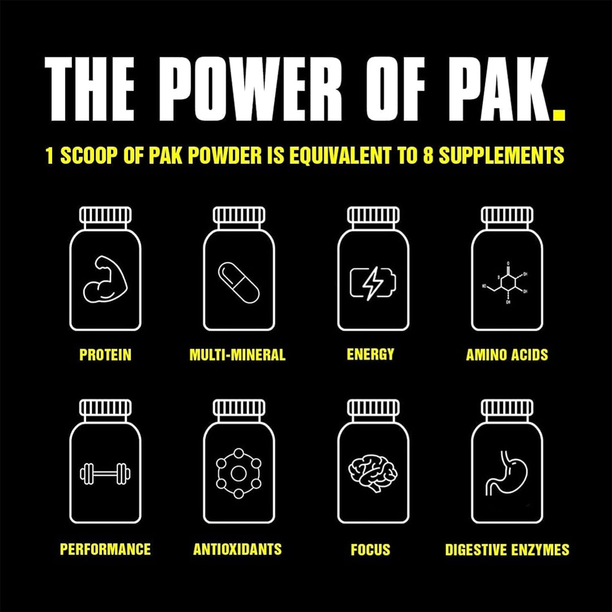 Universal Nutrition Animal Pak Powder 312g