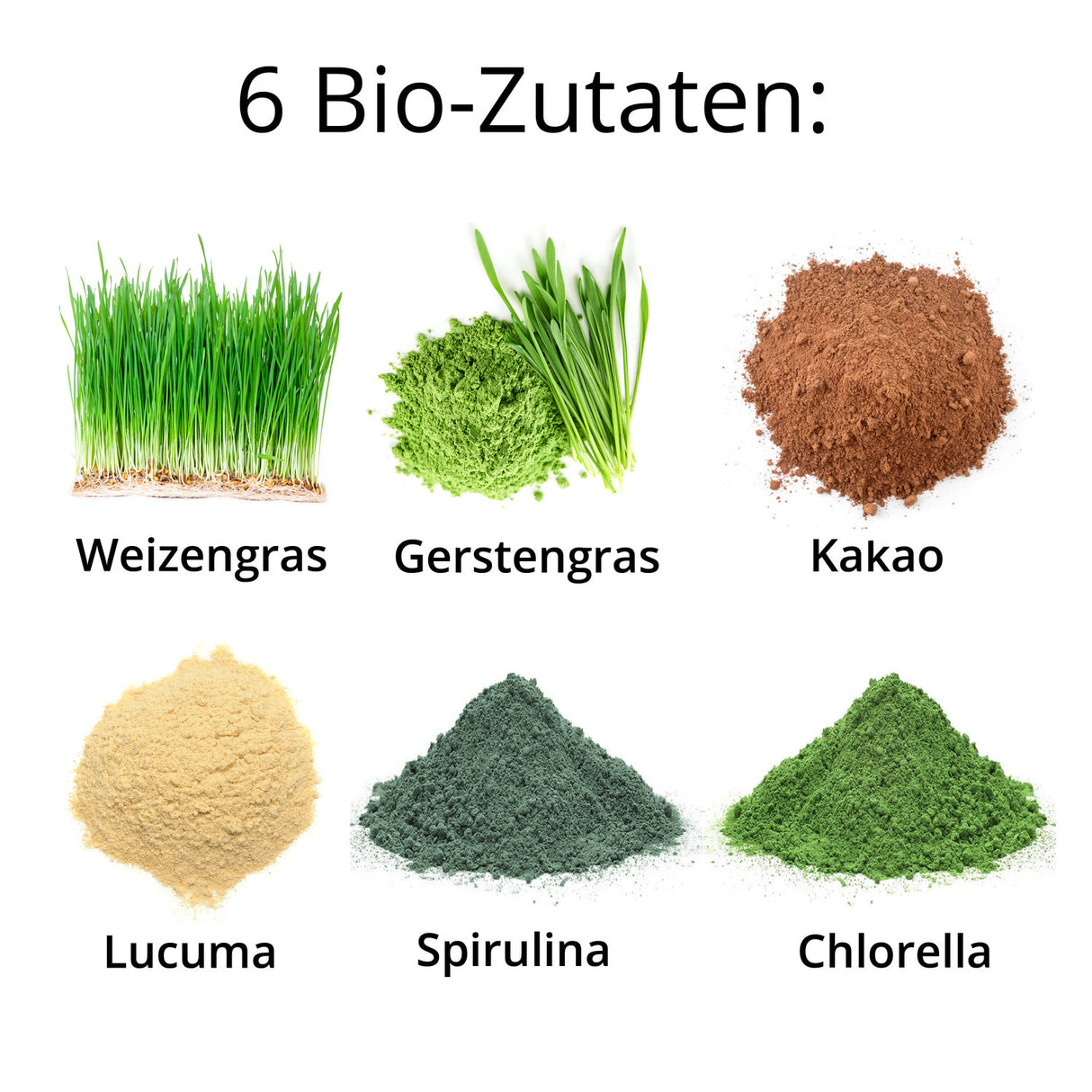 MyGreenz Super Quotidien Bio 300g